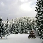 Villa Complex Malina Pamporovo