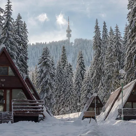 Complex Malina Villa