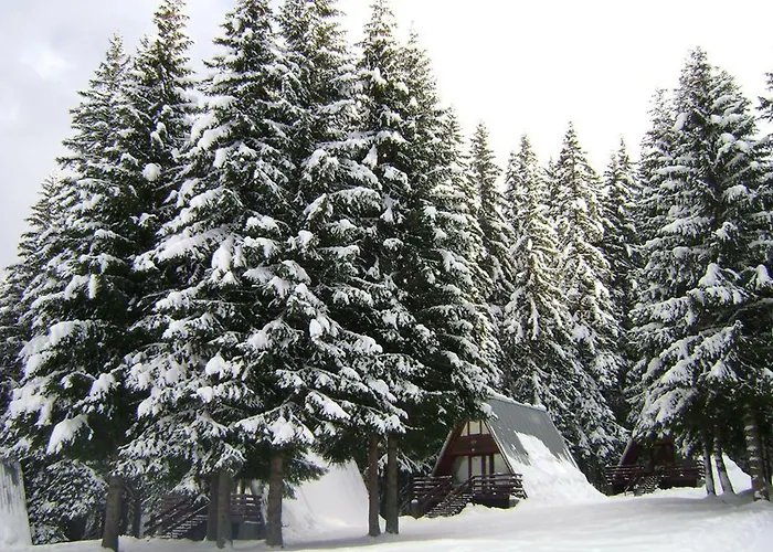 Villa Complex Malina *