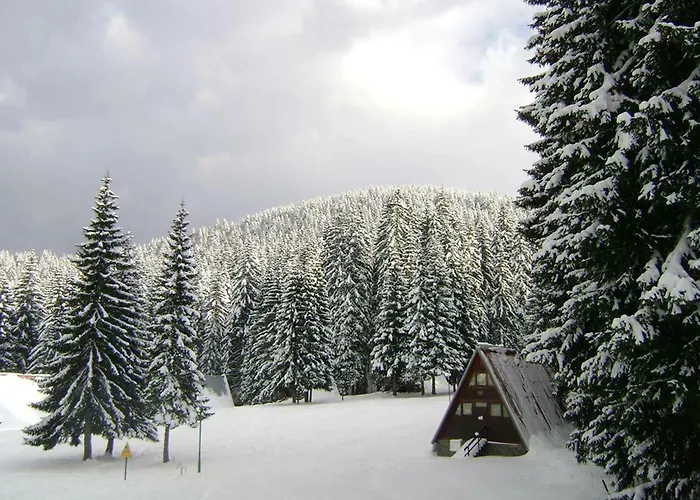 Villa Complex Malina Pamporovo