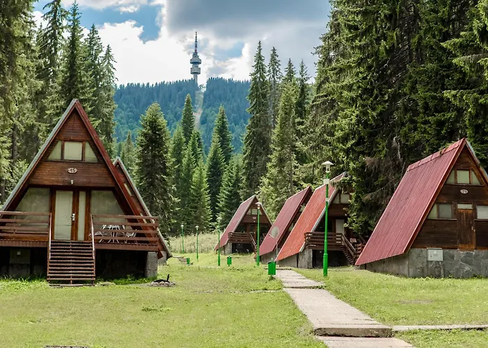 Complex Malina פמפורובו